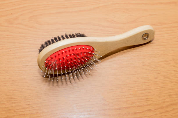 Are Bristle Brushes Good for Dogs? A Comprehensive Guide 2024