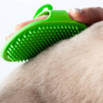 Best Rubber Brushes for Dogs