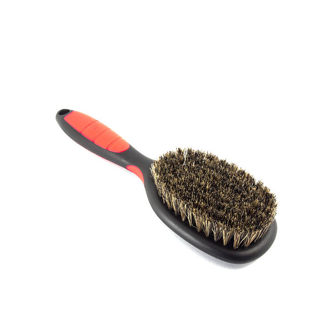 Best Bristle Brushes for Short-Haired Dogs: Expert Recommendations in 2024